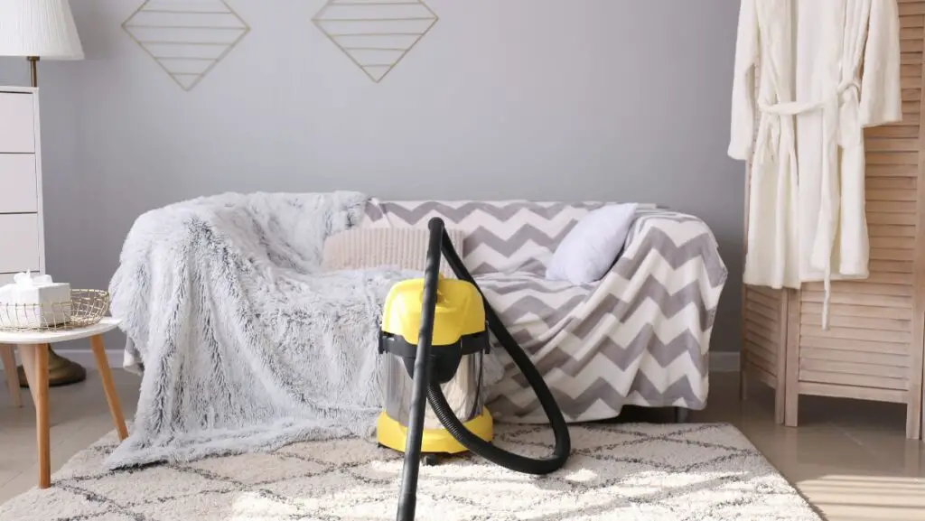 can-you-use-carpet-cleaner-on-couch-trendy-couches