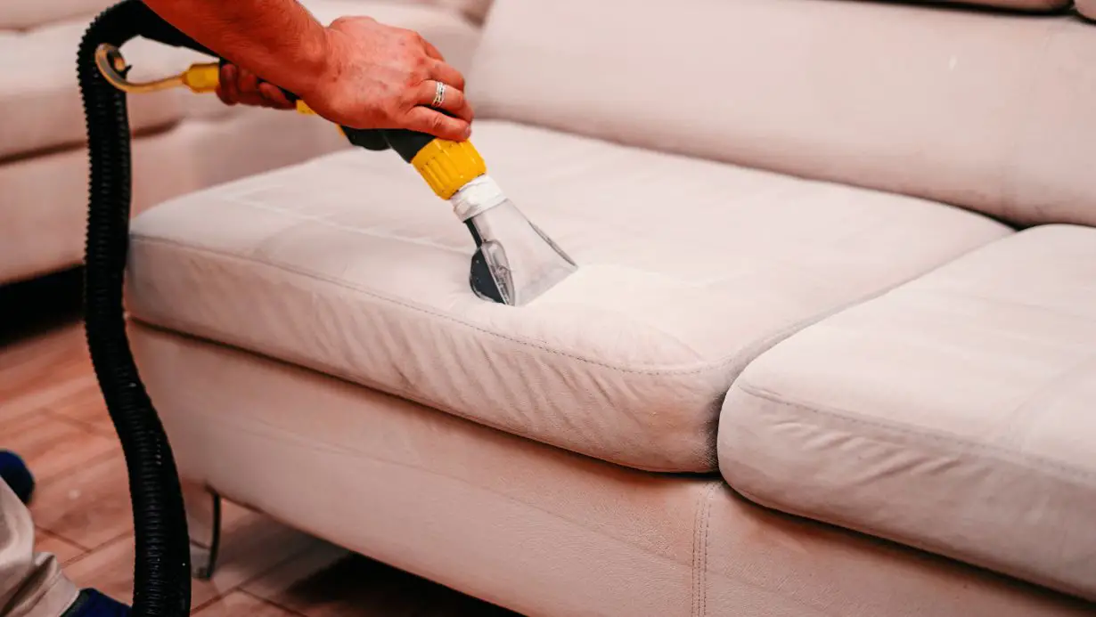 How to Use a Shampooer On a Sofa- DIY Guide
